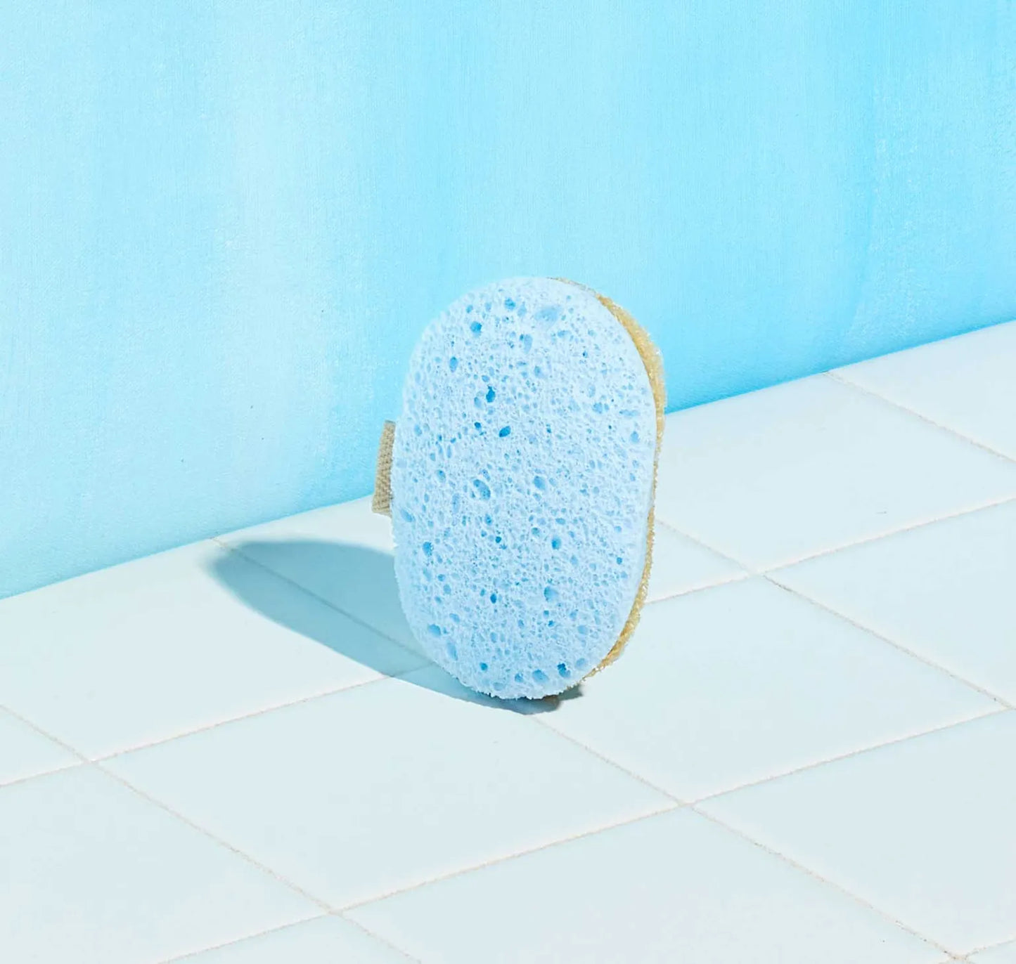 Scrub Sponge