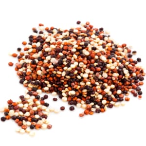 Quinoa - Tricolor - Organic