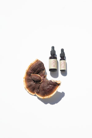 Mushroom Tincture - Reishi - Organic