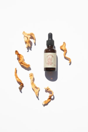 Mushroom Tincture - Cordyceps Militaris - Organic