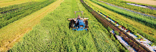 Why Regenerative Agriculture Is Important for the Future of Food
