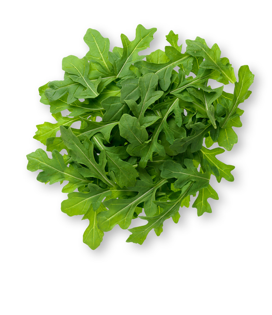 Arugula - Organic