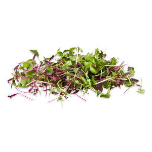 Rainbow Microgreens