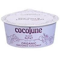 Mixed Berry Coconut Yogurt - Organic