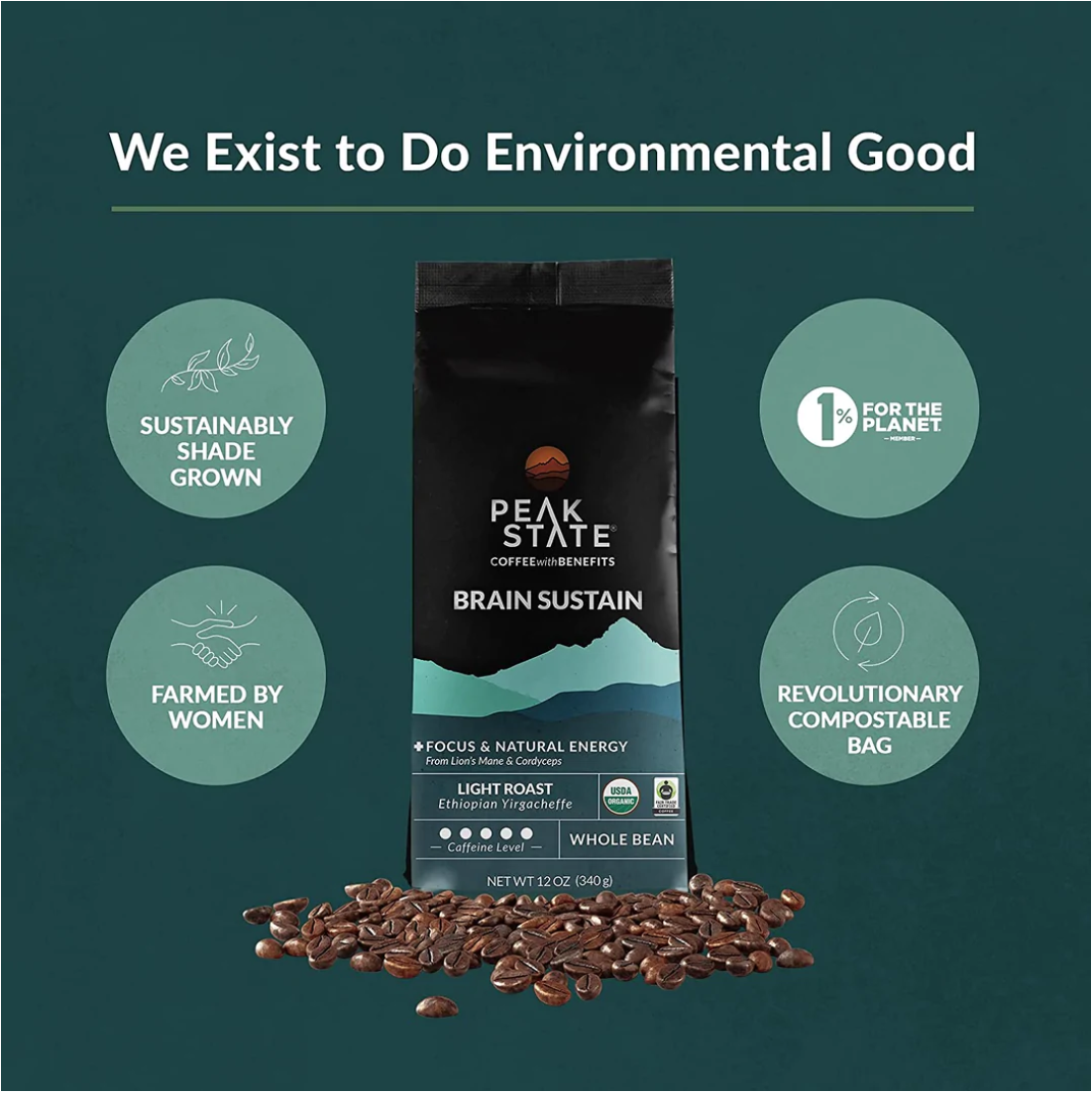 Mushroom-Infused Coffee Beans - Brain Sustain - Organic