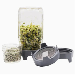 Sprouting Lid