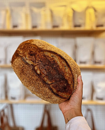 Dry Storage Whole Wheat Sourdough - Organic