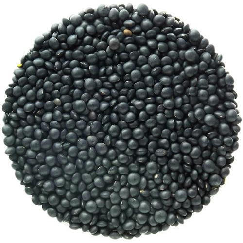 Black Beluga Lentils - Organic