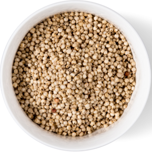 Sorghum Grain