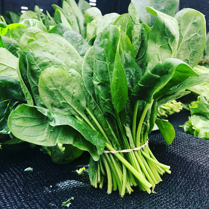 Spinach - Organic