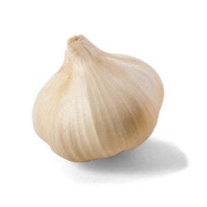 Organic Garlic