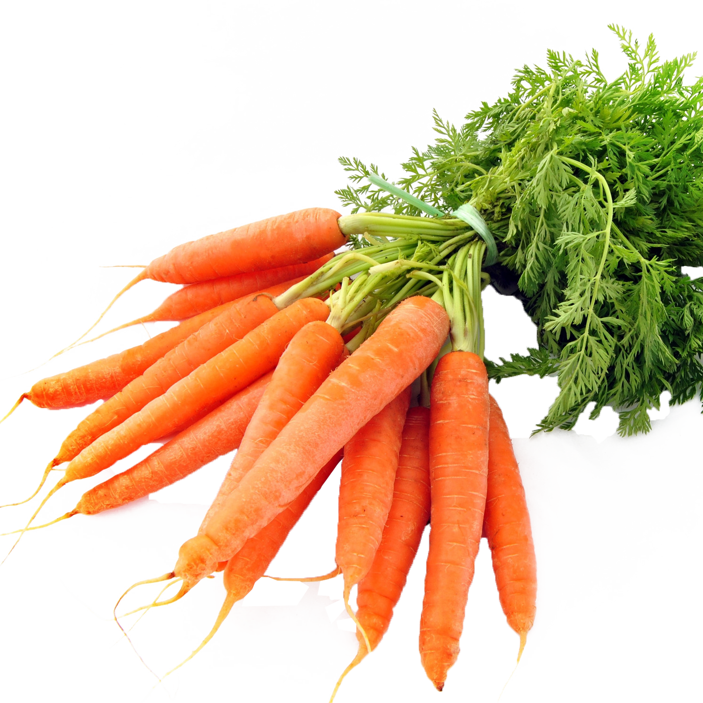 Organic Carrots - 1 lb