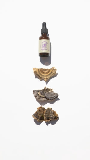 Mushroom Tincture - Turkey Tail - Organic