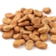Nude Foods Market Zero Waste Fava Beans